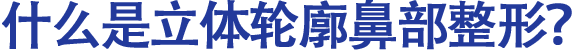 什么是立体轮廓鼻部整形？